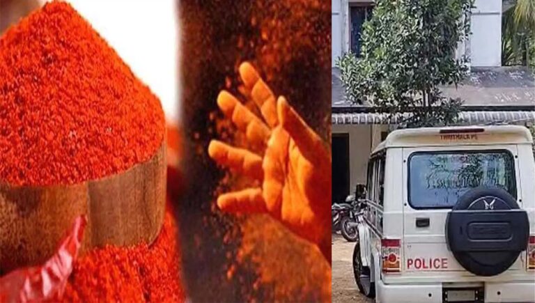 പട്ടാമ്പിയിൽ വീട്ടമ്മയുടെ മുഖത്ത് മുളകുപൊടി വിതറി മാല കവര്‍ന്ന് ഏഴു ലക്ഷം രൂപ മോഷ്ടിച്ചു