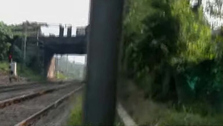 കളമശ്ശേരിയില്‍ യുവതിയെ തലയില്‍ തുണിയിട്ട് മൂടി മൊബൈല്‍ഫോണും മാലയും കവര്‍ന്നു