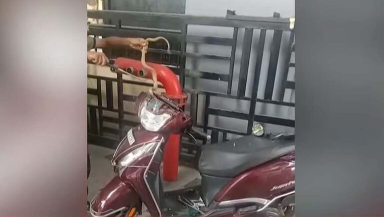 കണ്ണൂരിൽ സ്‌കൂട്ടറിനുള്ളില്‍ നിന്നും മൂര്‍ഖന്‍ പാമ്പിനെ കണ്ടെത്തി