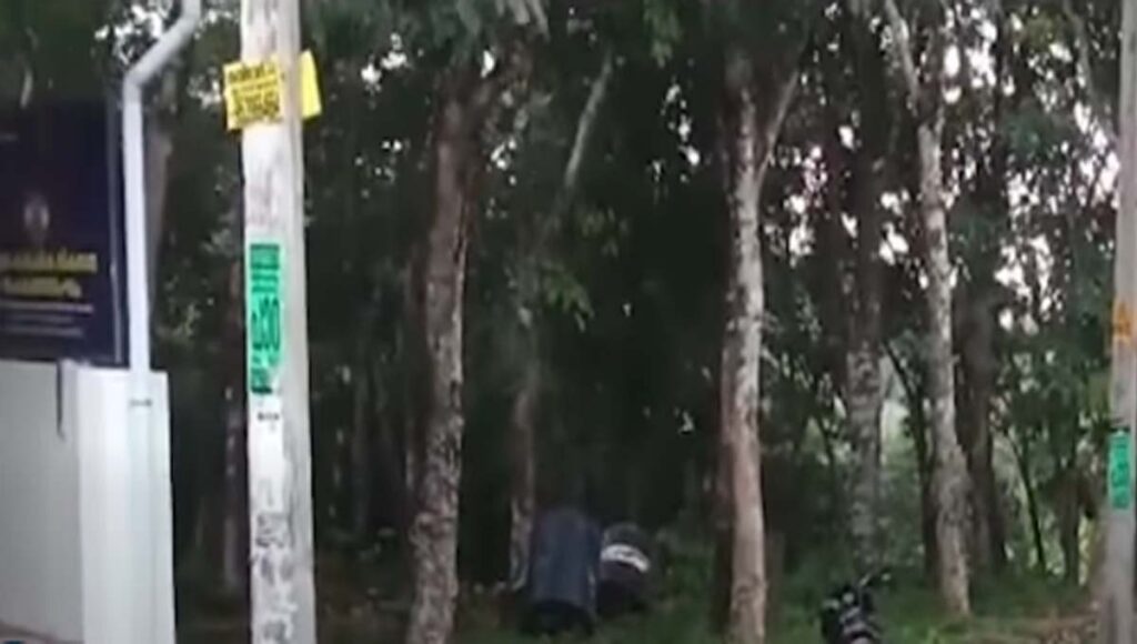 കൊല്ലത്ത് കനത്ത വേനല്‍മഴ; എണ്ണപ്പന കടപുഴകി വീണ് യുവതിക്ക് ദാരുണാന്ത്യം