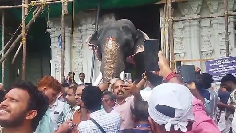 പാറമേക്കാവിലമ്മയെ ശിരസ്സിലേറ്റാന്‍ കൊമ്പന്‍ തൃക്കടവൂര്‍ ശിവരാജുവെത്തി