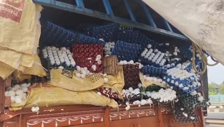 ചാലക്കുടിയിൽ മുട്ടകയറ്റി വന്ന ലോറിക്ക് പിന്നിൽ ടോറസ് ലോറിയിടിച്ച് ലക്ഷക്കണക്കിന് മുട്ട നശിച്ചു