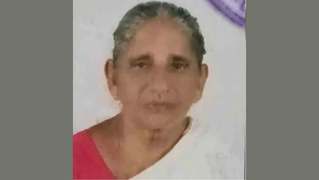 പാമ്പുകടിയേറ്റ് ഇടുക്കിയില്‍ 75 കാരി മരിച്ചു; ഒരാഴ്ചയ്ക്കിടെ അഞ്ചാമത്തേത്