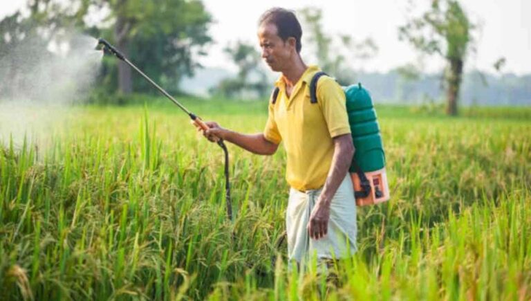 നെല്ലിന് അടിക്കുന്ന കീടനാശിനി; ‘കാര്‍ബോസള്‍ഫാന്‍’ രാജ്യത്ത് നിരോധിച്ചേക്കും