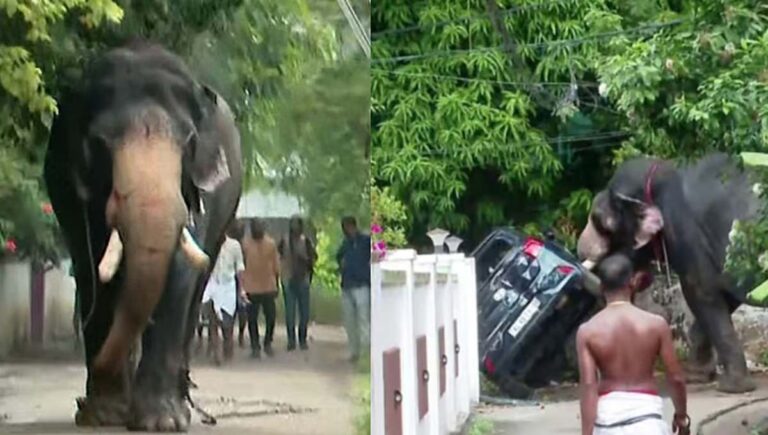 തൃശൂരില്‍ ആന ഇടഞ്ഞ് കാറും, ഓട്ടോറിക്ഷയും കുത്തിമറിച്ചു