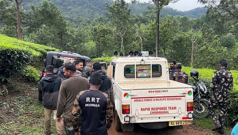 ഇടുക്കി ചിന്നക്കനാൽ മേഖലയിലെ വൻ വനംഭൂമി കയ്യേറ്റം ഒഴിപ്പിച്ച് വനംവകുപ്പ്