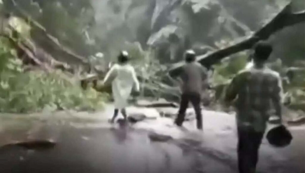 വയനാട് ചുരത്തിൽ കനത്ത മഴയിൽ മരം വീണ് വൻ ഗതാഗതക്കുരുക്ക്