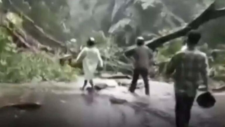 വയനാട് ചുരത്തിൽ കനത്ത മഴയിൽ മരം വീണ് വൻ ഗതാഗതക്കുരുക്ക്