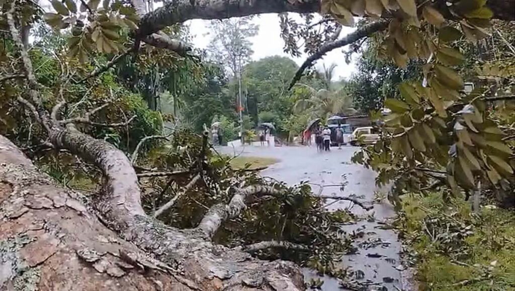 ഇടുക്കിയില്‍ കനത്ത മഴ; വീട് ഭാഗികമായി തകര്‍ന്നു, മരങ്ങള്‍ കടപുഴകി വീണ് ഗതാഗത തടസം