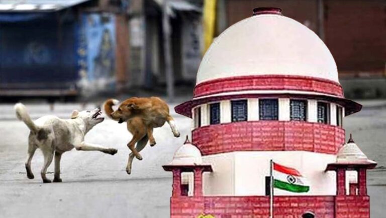 അപകടകാരികളായ തെരുവ് നായകളെ കൊല്ലാം : സുപ്രിംകോടതി