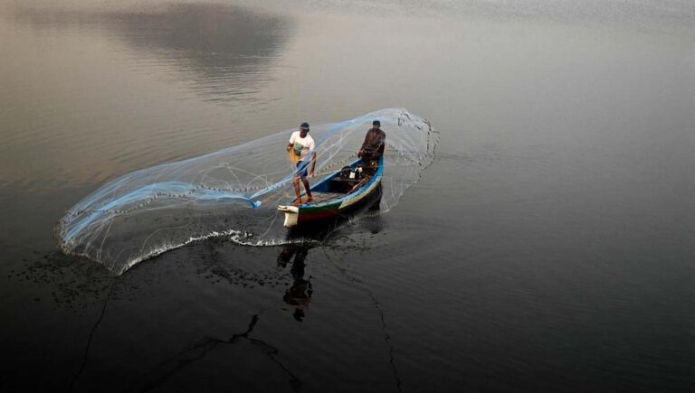 ശുദ്ധജല മത്സ്യങ്ങളെ പിടിക്കുന്നതിന് വിലക്കേര്‍പ്പെടുത്തി ഫിഷറീസ് വകുപ്പ്