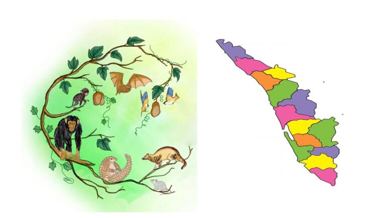 ഇന്ന് 13 പേര്‍ക്ക് കൂടി ഷിഗെല്ല, പകര്‍ച്ചപ്പനി ബാധിച്ച് മൂന്ന് മരണം; 75 പേര്‍ക്ക് ഡെങ്കി, എലിപ്പനി 13 പേര്‍ക്ക്