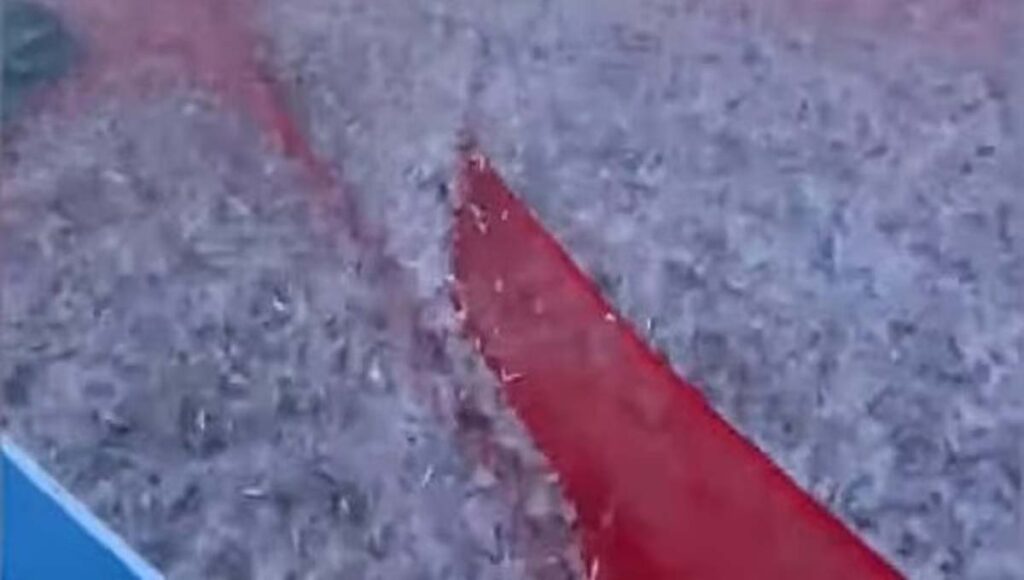 കായംകുളം വലിയ അഴീക്കലില്‍ മത്തിചാകര