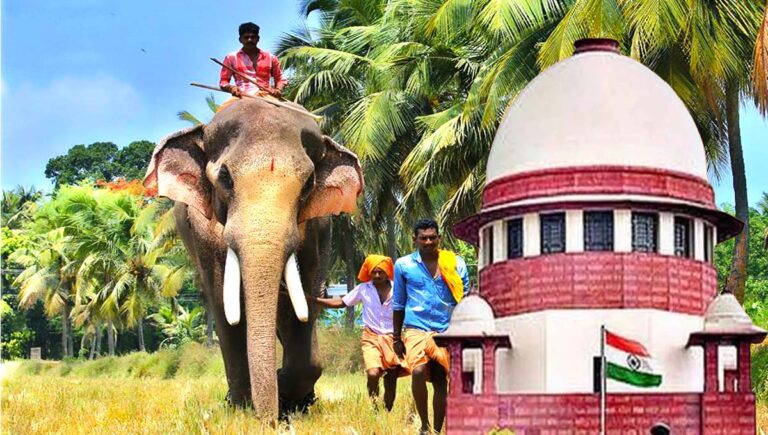 കേരളത്തിലെ ഏറ്റവും ഉയരം കൂടിയ ആന ‘രാമനെ’ സർക്കാർ ഏറ്റെടുക്കണം : സുപ്രീം കോടതി