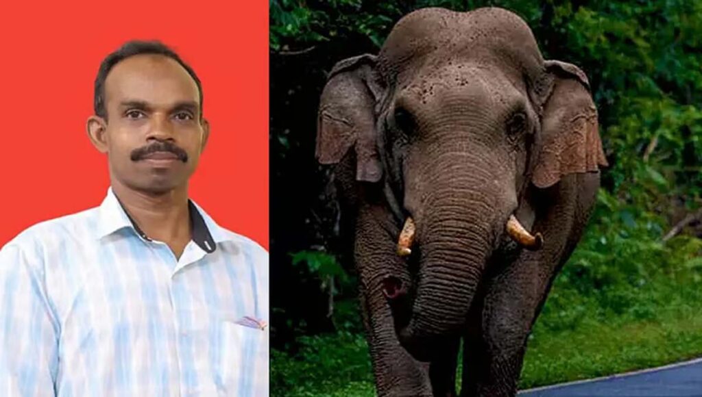 നെയ്യാറ്റിൻകരയിൽ കൃഷിയിടത്തിലിറങ്ങിയ കാട്ടാനയെ തുരത്താൻ ശ്രമം; യുവാവിനെ കാട്ടാന കുത്തിക്കൊന്നു